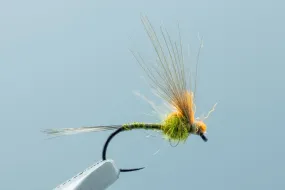 Antonio's Adult BWO BL #17