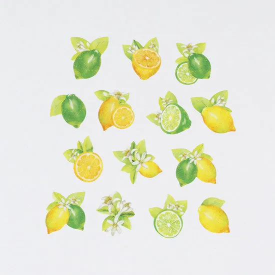 Bande Sticker Washi Tapes - Lemon & Lime