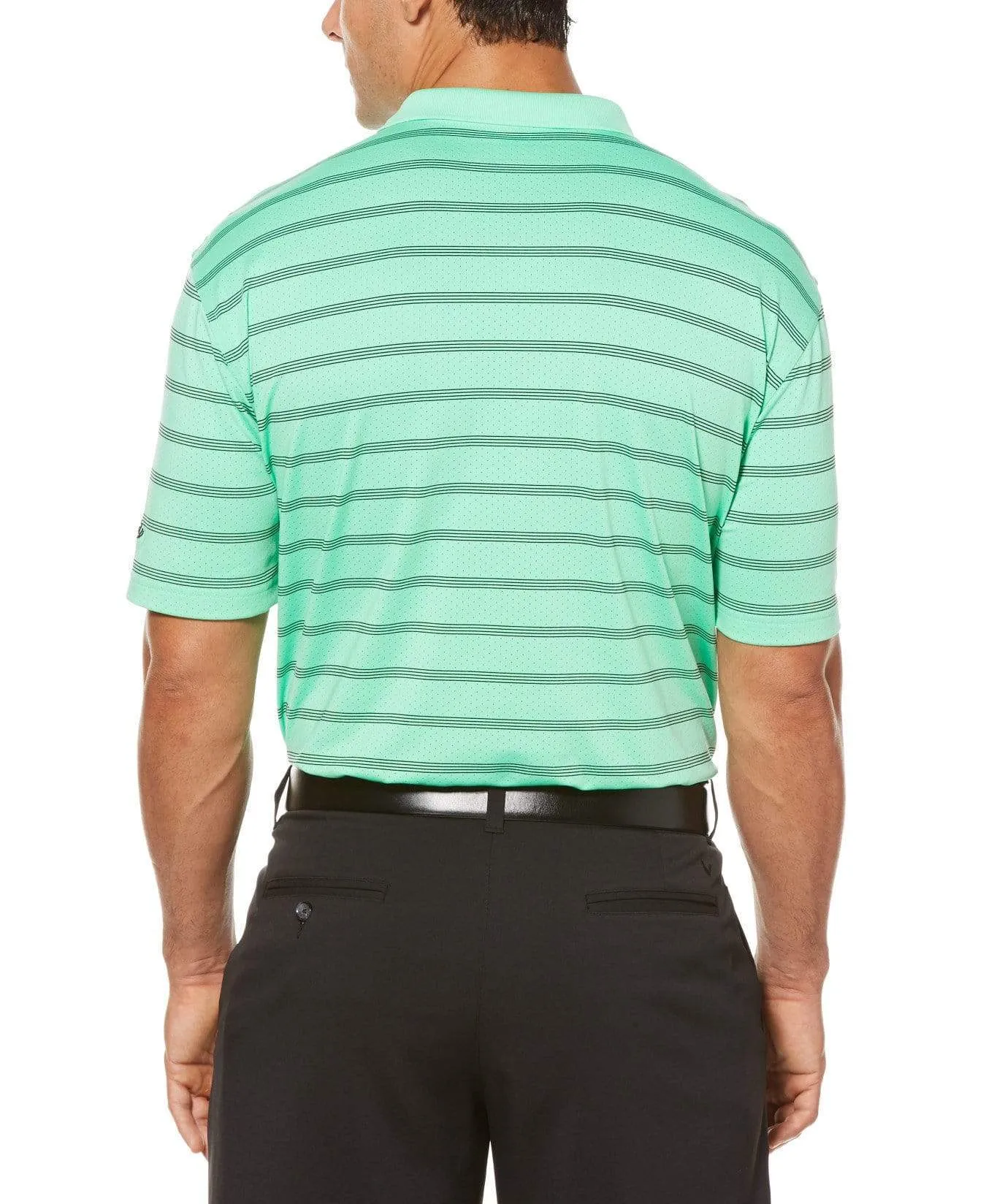 Big & Tall Opti-Dri Striped Polo