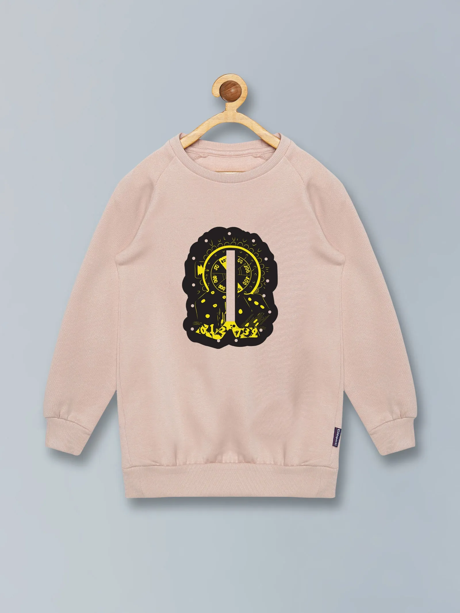 Boys Round Neck Sweatshirt With Applique