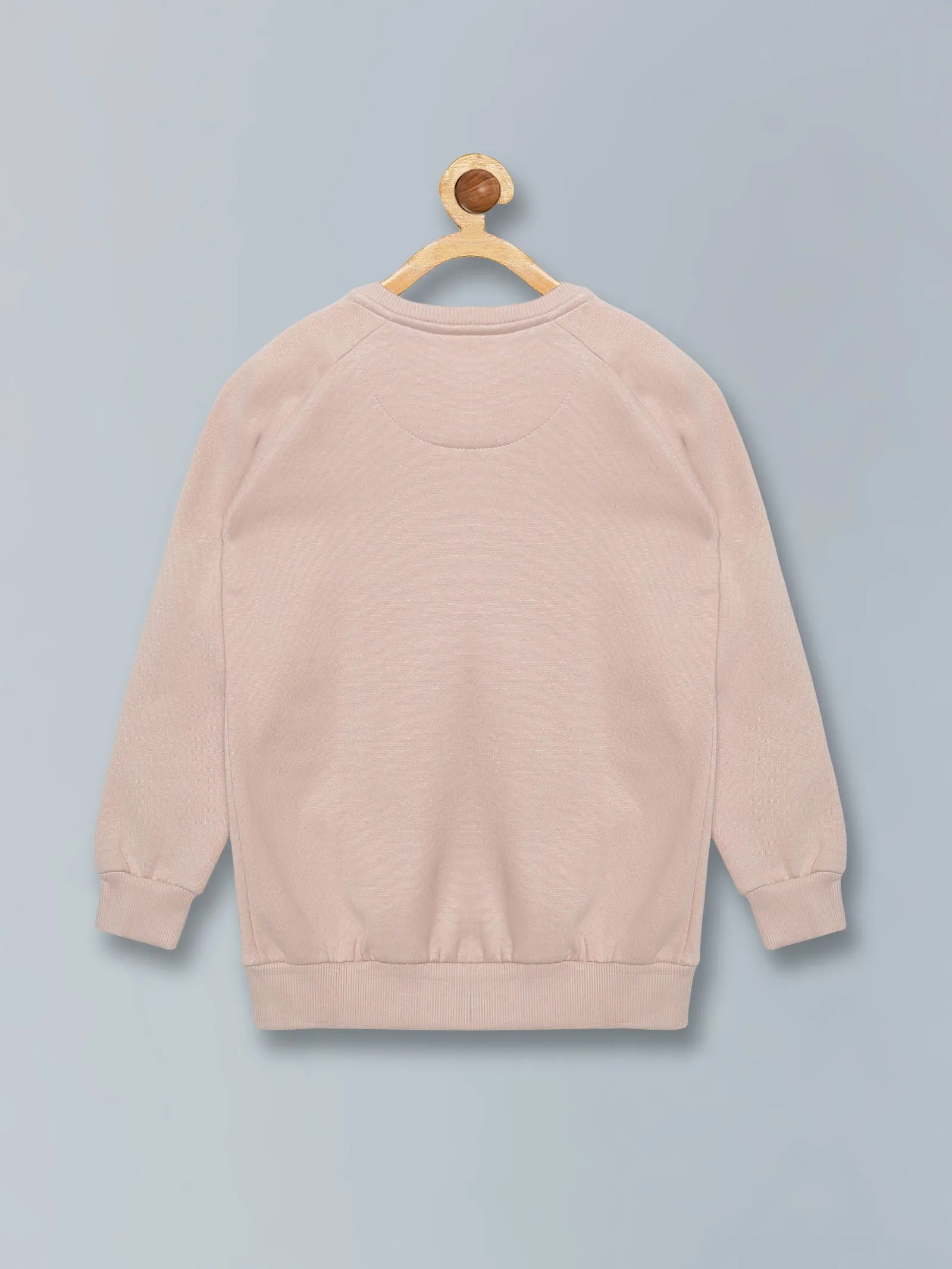 Boys Round Neck Sweatshirt With Applique