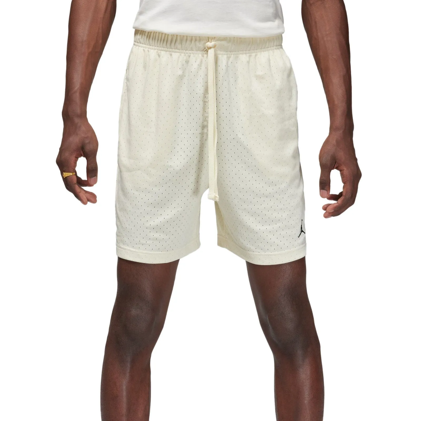 Jordan Dri-FIT Sport Men's Mesh Shorts Men's's FN5816-113