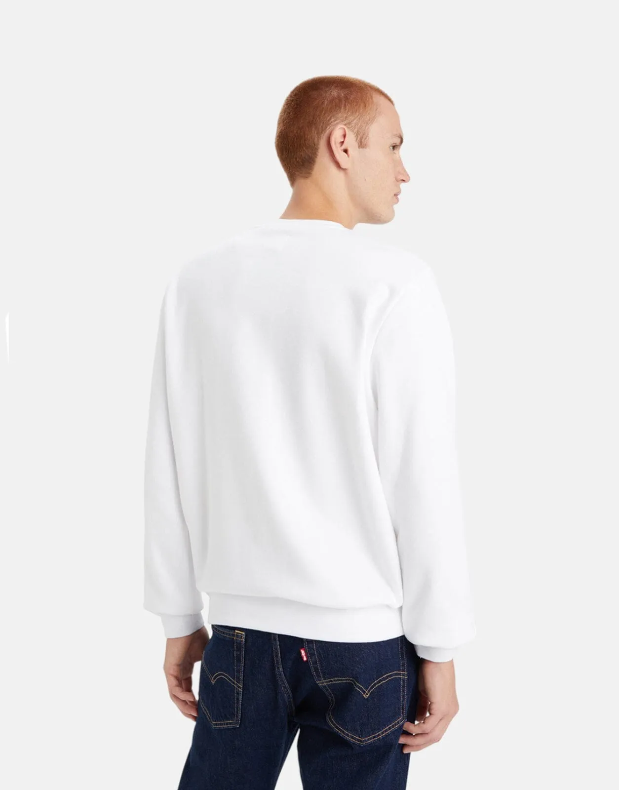 Levi's Standard Graphic Western Logo Sweater