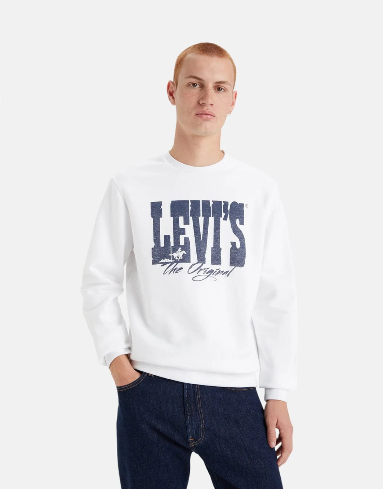 Levi's Standard Graphic Western Logo Sweater