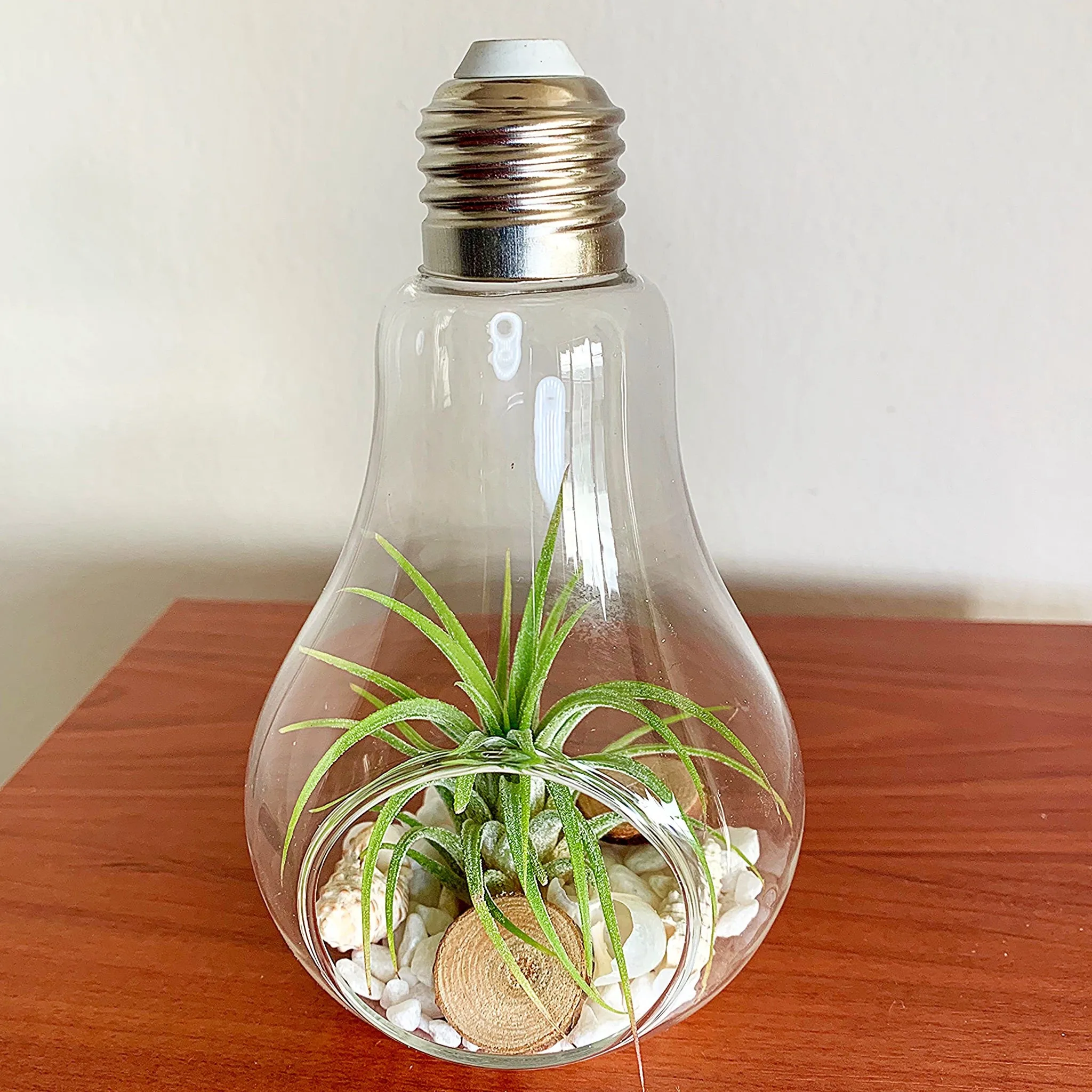 Light Bulb Terrarium