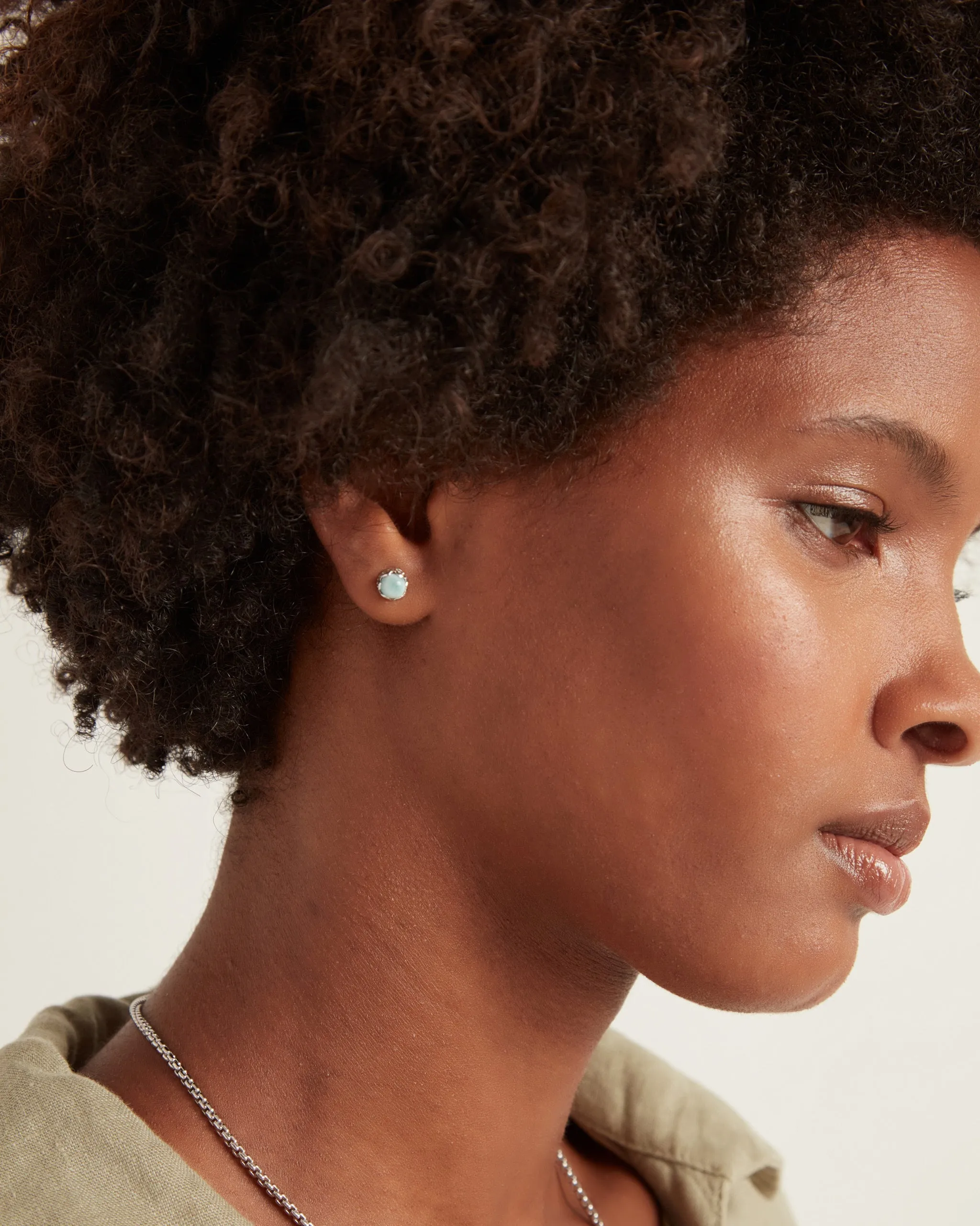 Princess Petroglyph Stone Studs - Larimar